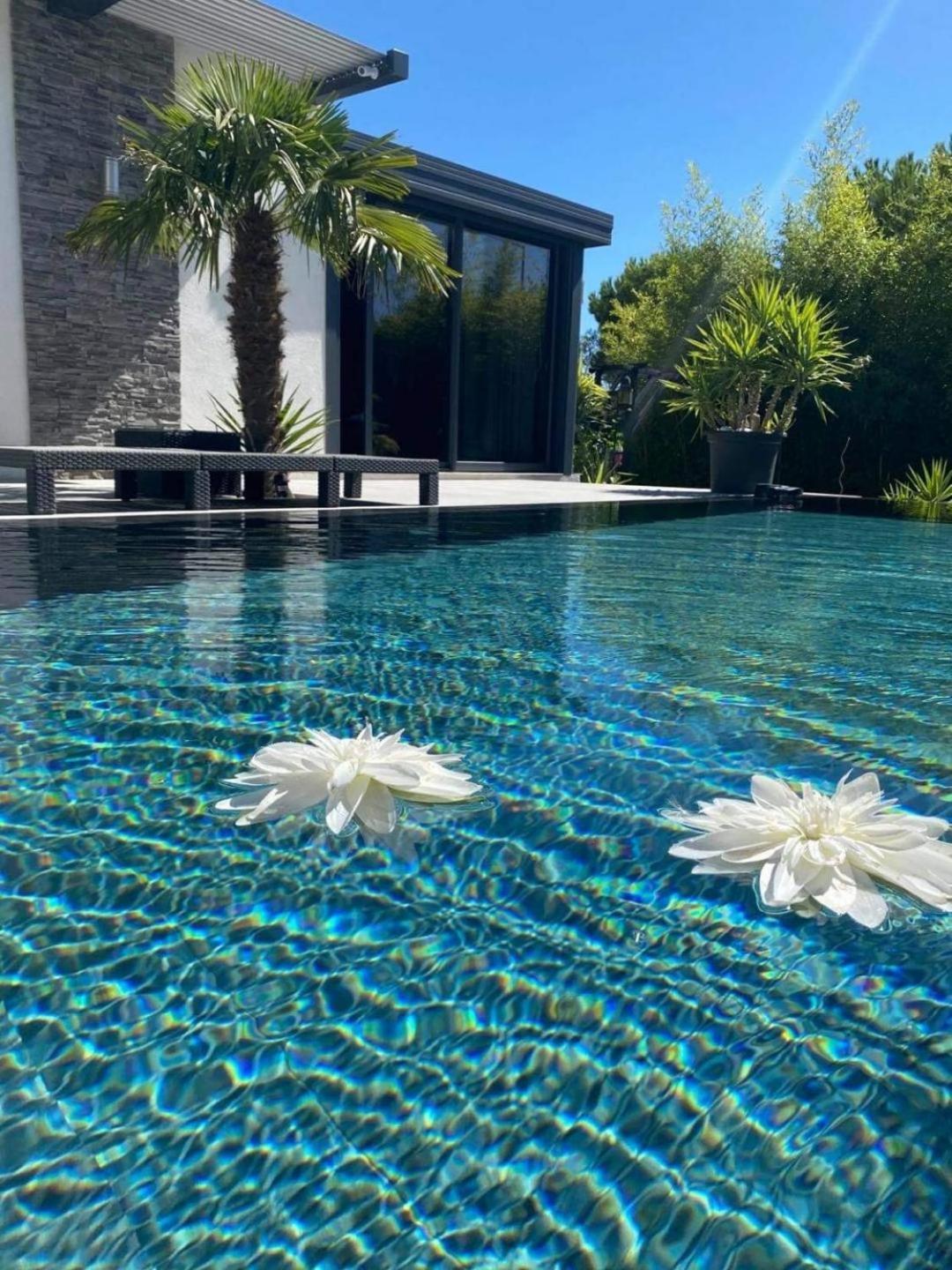 Mon Petit Bali Bed & Breakfast Maussane les Alpilles Bagian luar foto